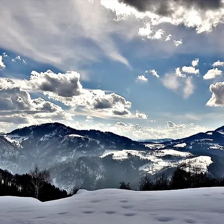 Apartma Pri Bostjanu דירה