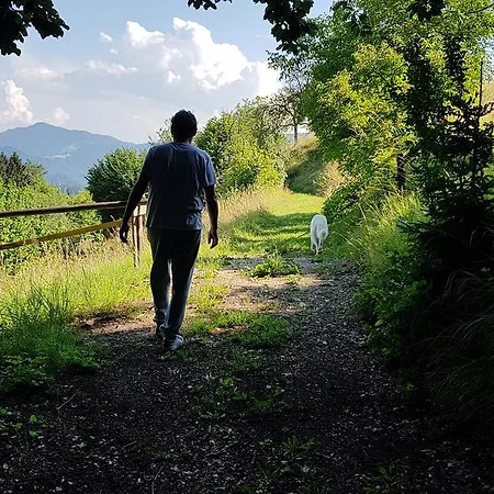 Διαμέρισμα Apartma Pri Bostjanu *