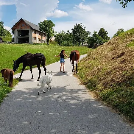 Apartma Pri Bostjanu * Škofja Loka