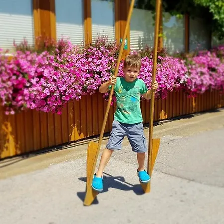 Apartma Pri Bostjanu *