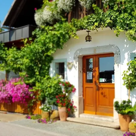 Apartma Pri Bostjanu * שקופיה-לוקה