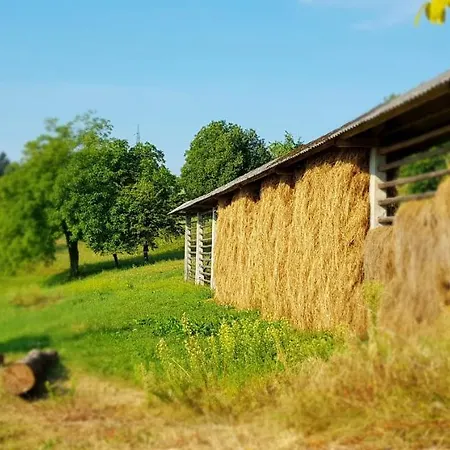 Apartma Pri Bostjanu *