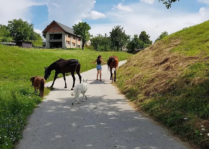 Apartma Pri Bostjanu * Skofja Loka