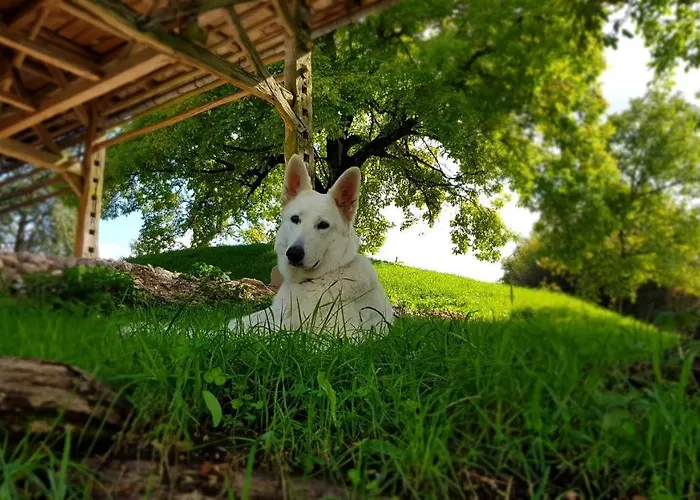 Apartma Pri Bostjanu Daire Škofja Loka