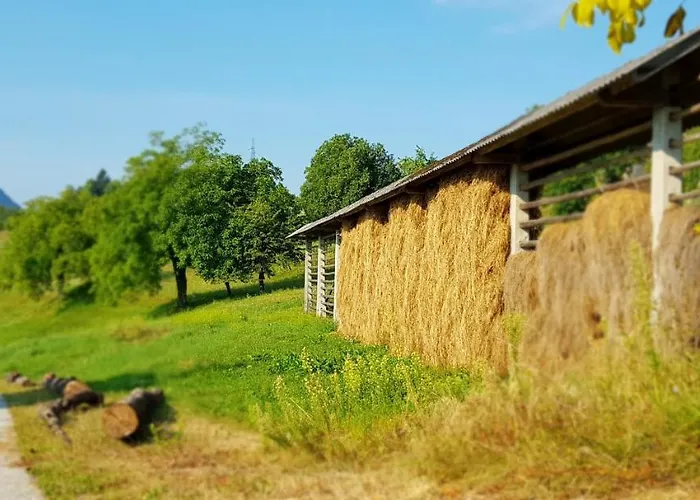 Apartma Pri Bostjanu *