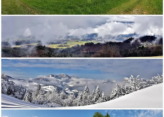 Apartment Apartma Pri Bostjanu